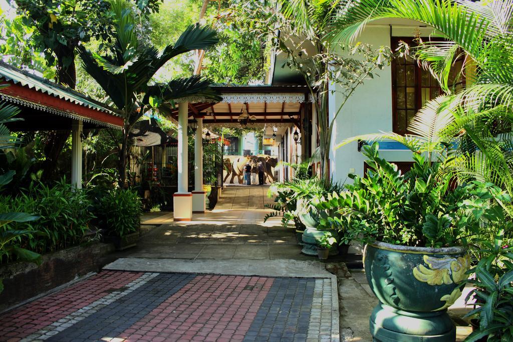 Green Land Guest House Pinnawala  Exterior photo