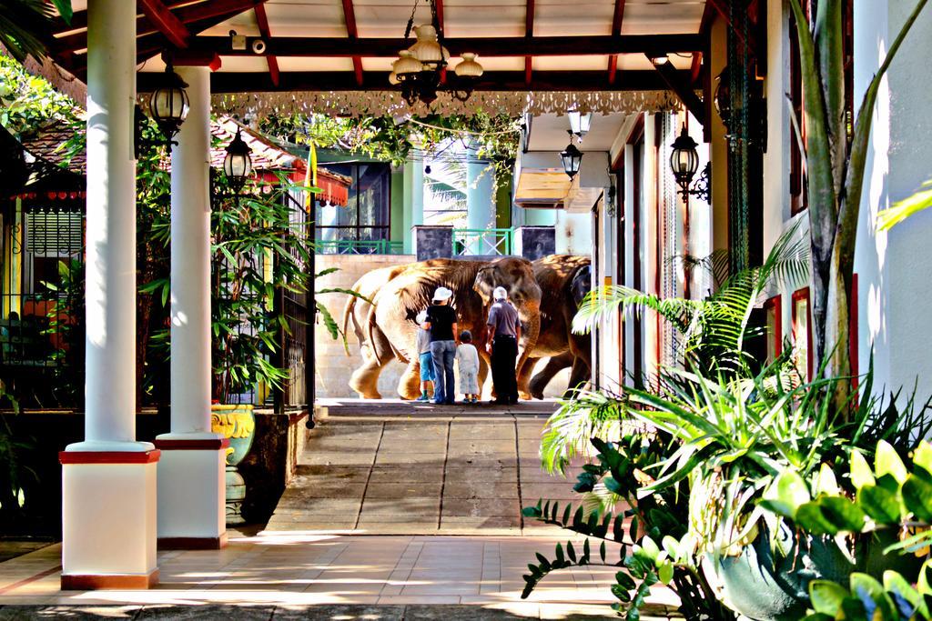 Green Land Guest House Pinnawala  Exterior photo