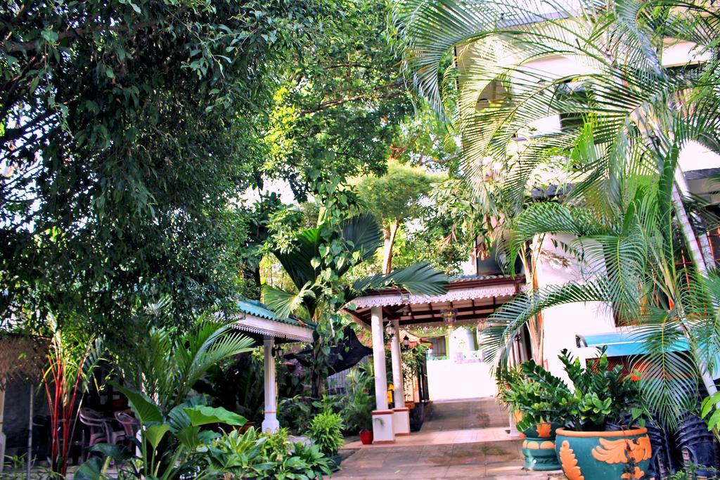Green Land Guest House Pinnawala  Exterior photo