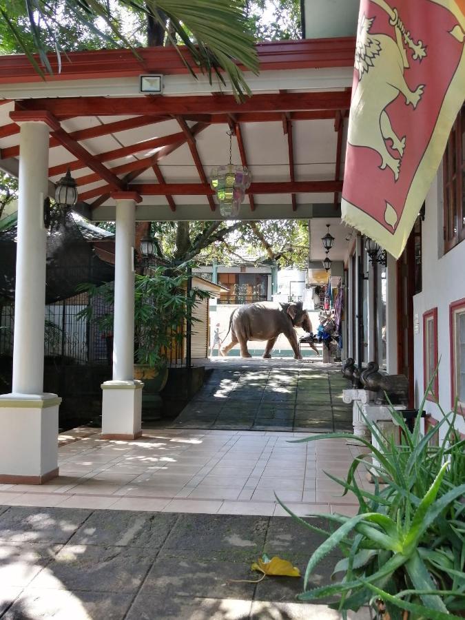 Green Land Guest House Pinnawala  Exterior photo
